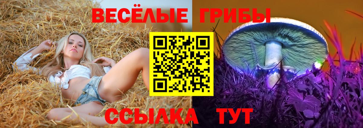 Галлюциногенные грибы мицелий  Вход с VPN  Клин 